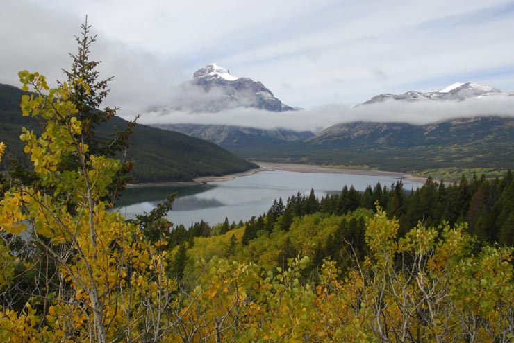 Aspen trees and Lower Two Medicine Lake