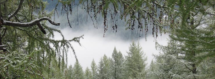 Snowy mountains at the Izaak Walton Inn